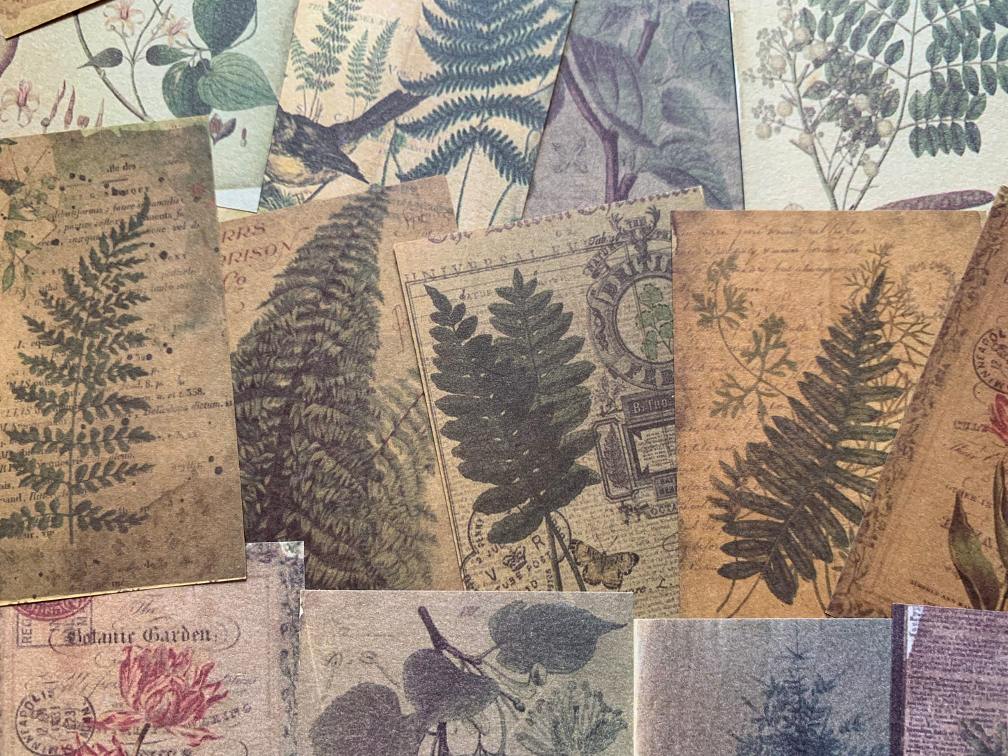 Set of 100 papers - Leaves