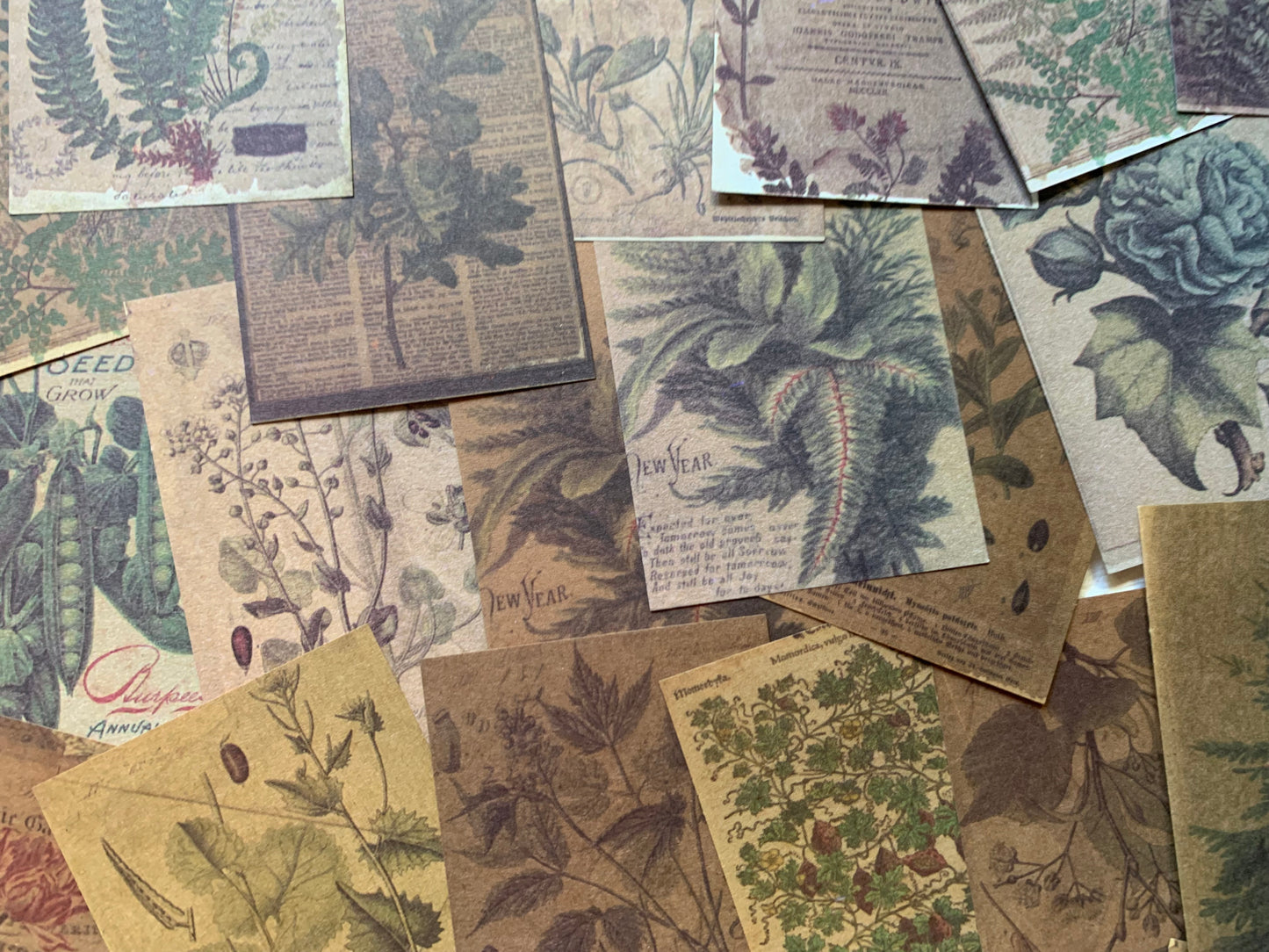 Set of 100 papers - Leaves