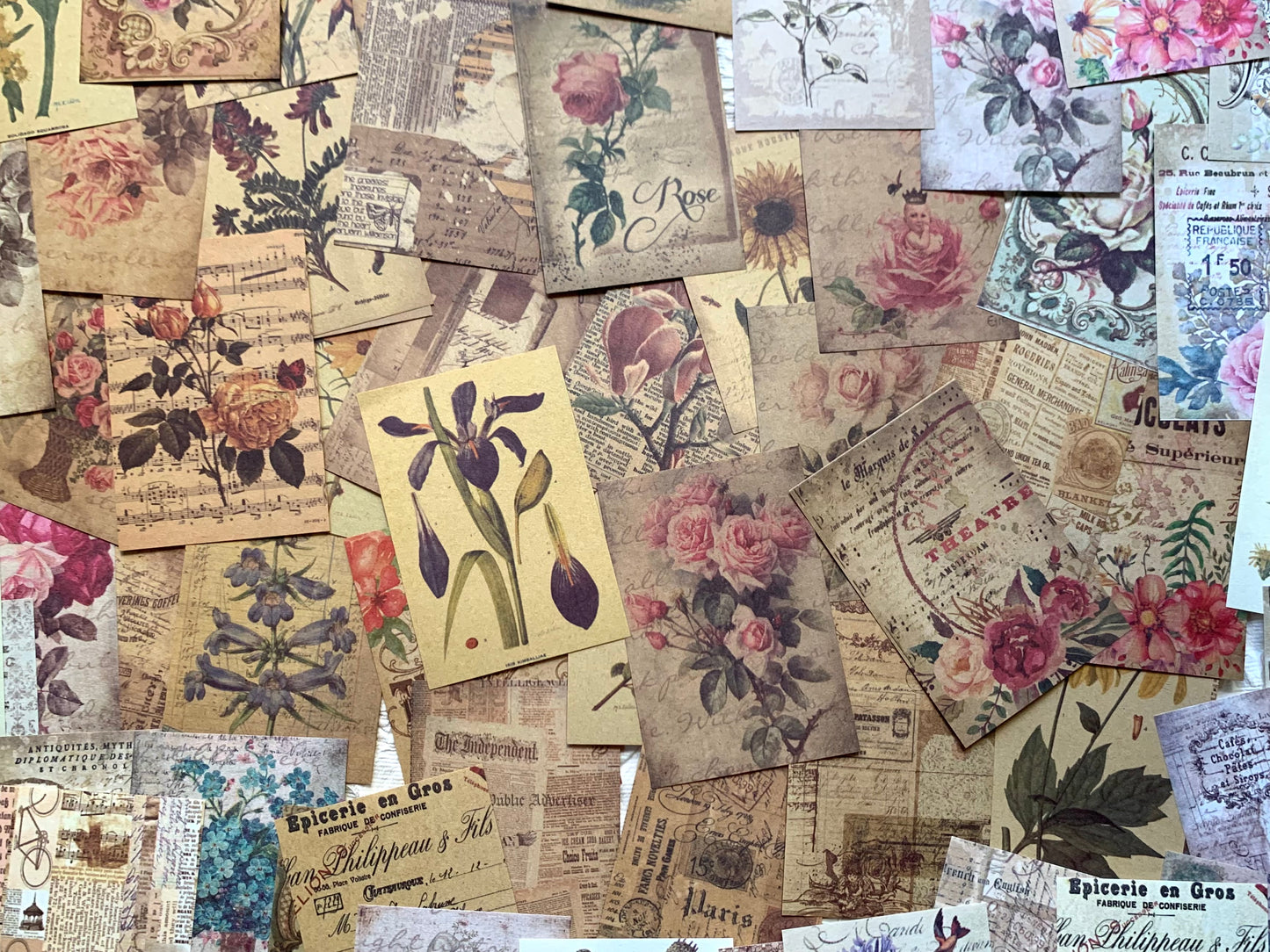 Set of 100 papers - Botanical