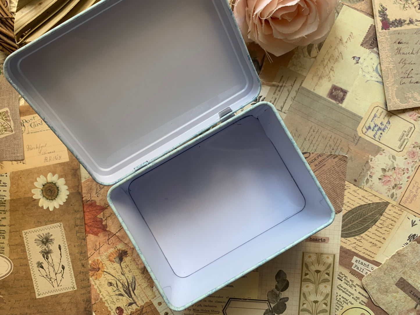 Aesthetic Storage Box - Rose
