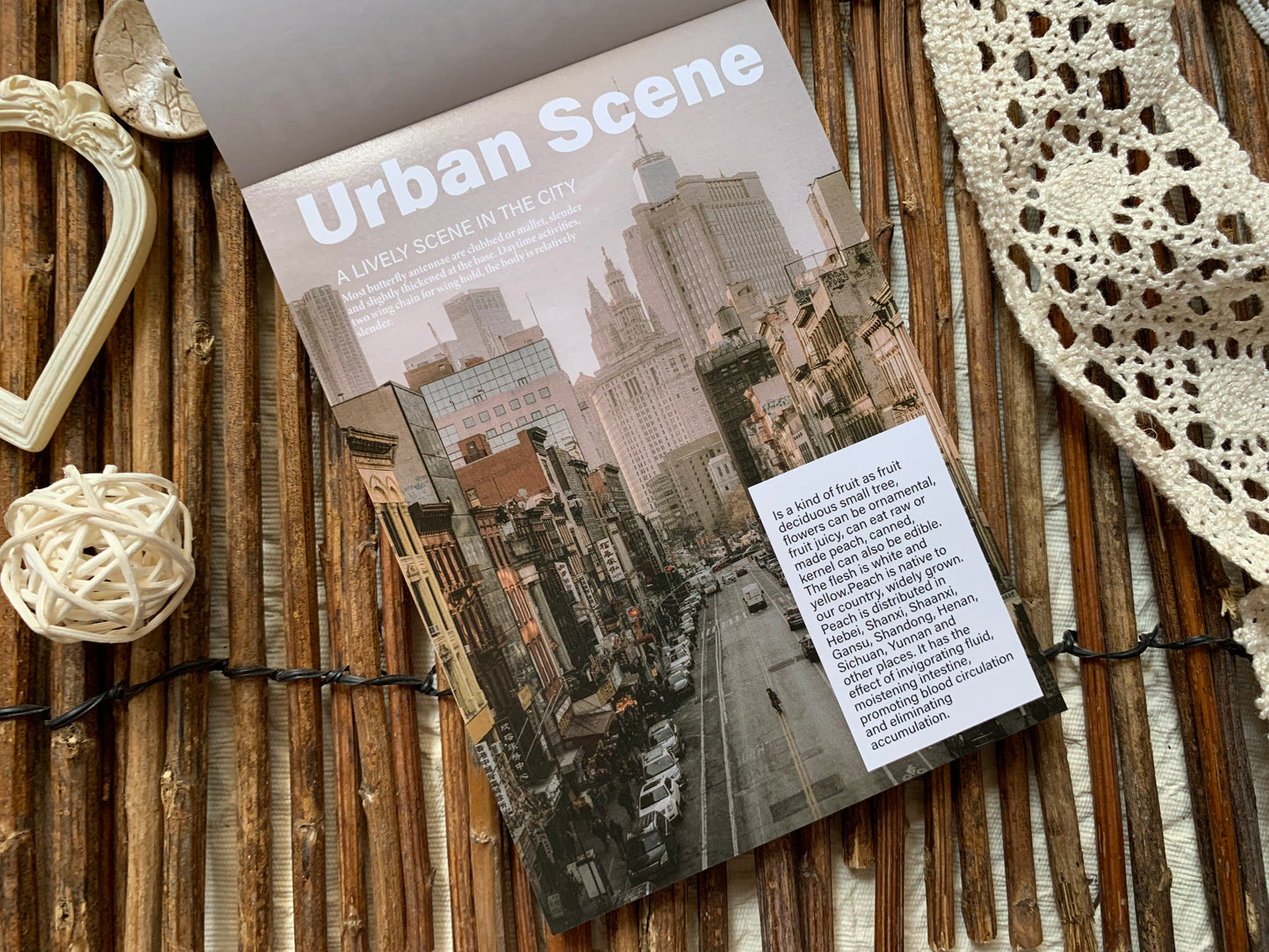 Magazine Booklet - Beige