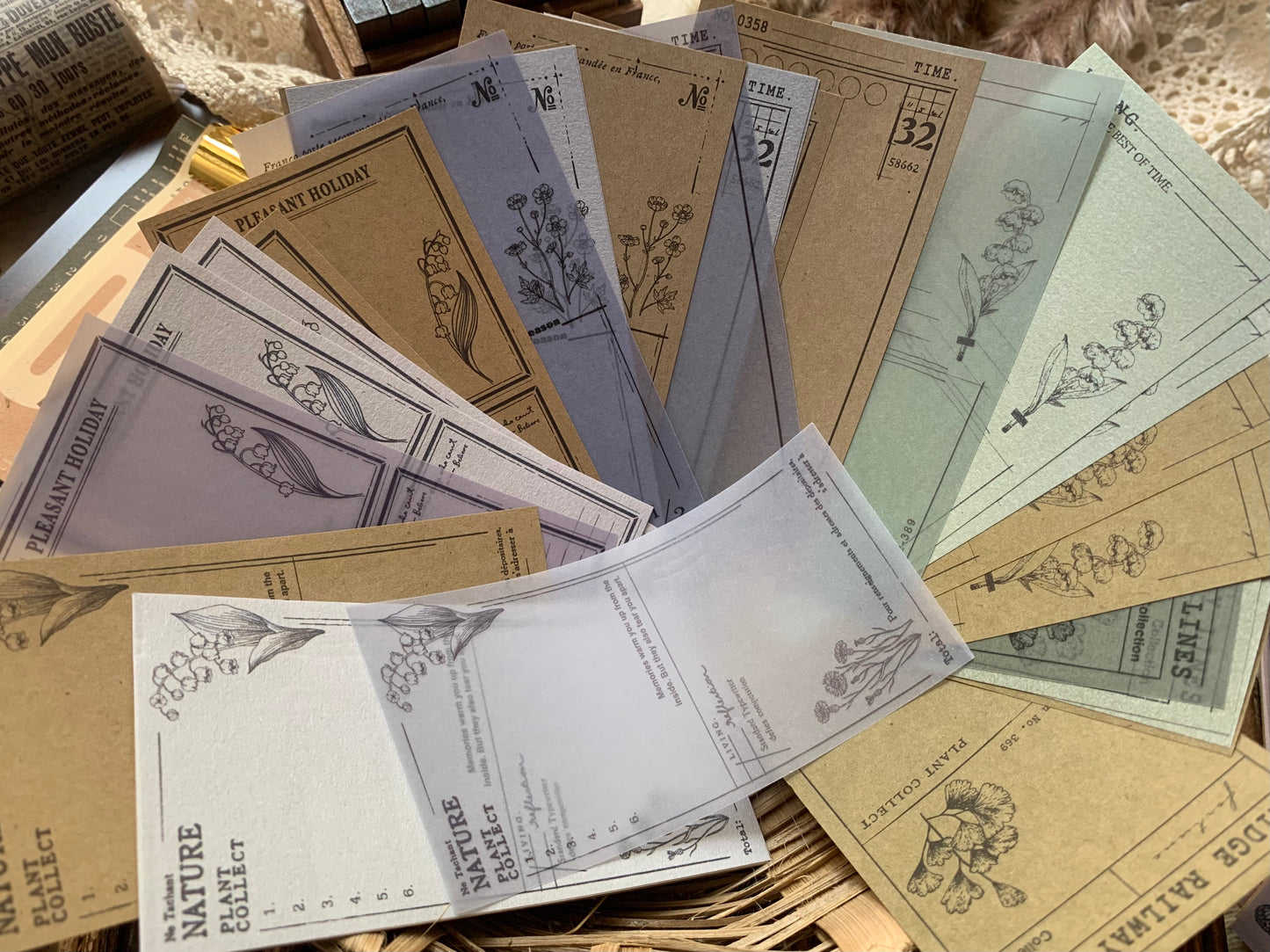 Vellum + Kraft Paper Set - Botanical