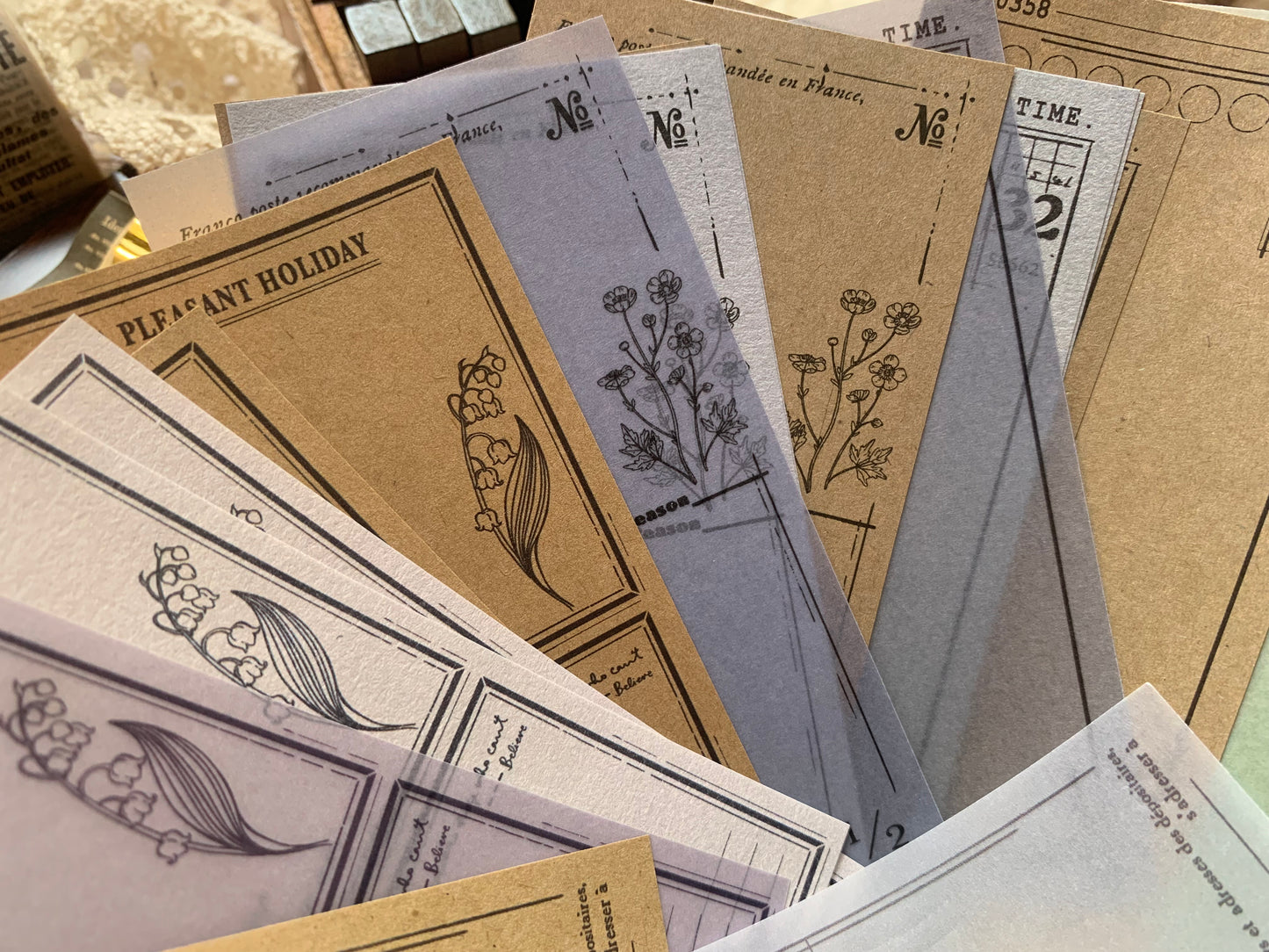 Vellum + Kraft Paper Set - Botanical