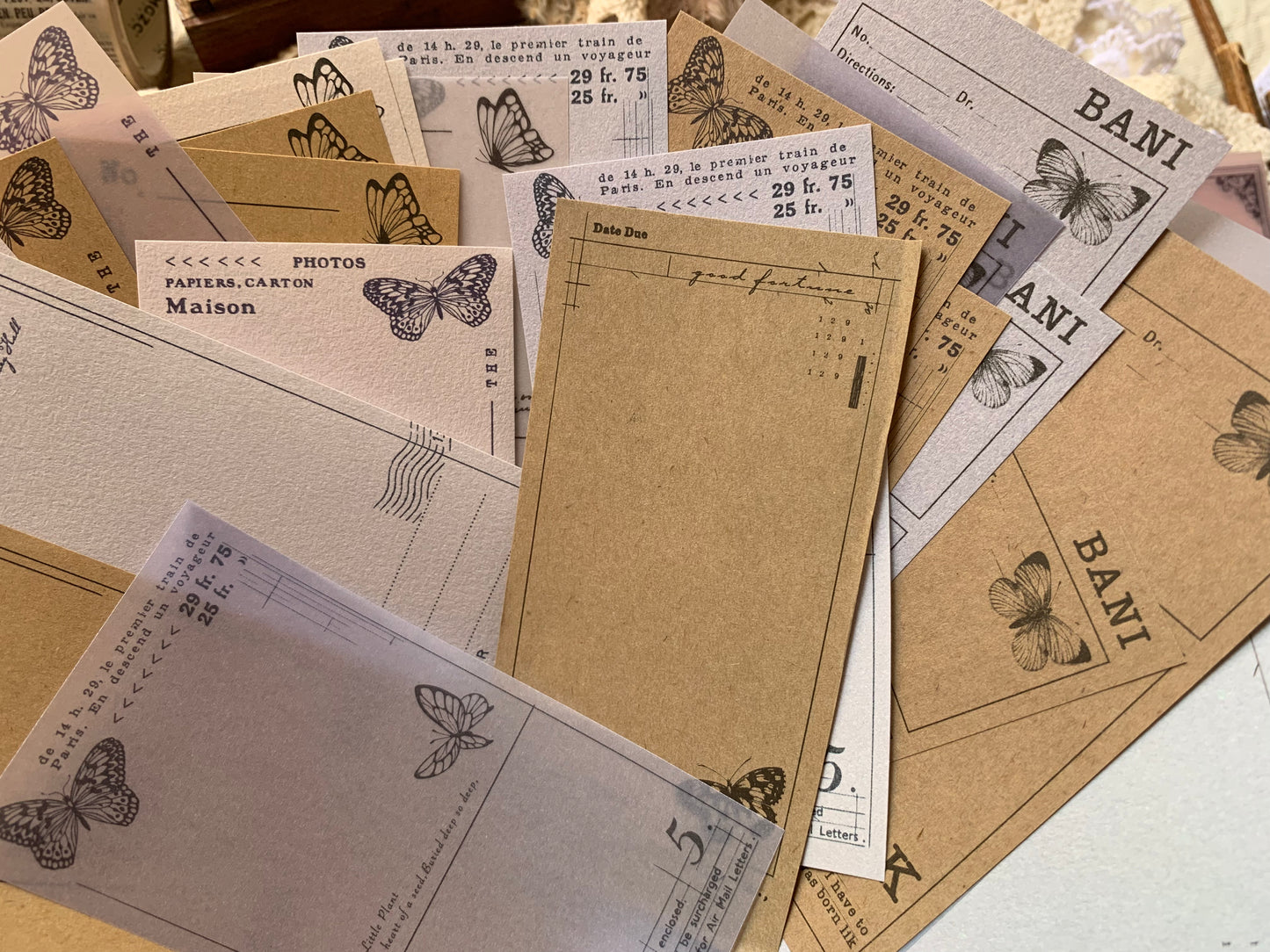 Vellum + Kraft Paper Set - Butterfly