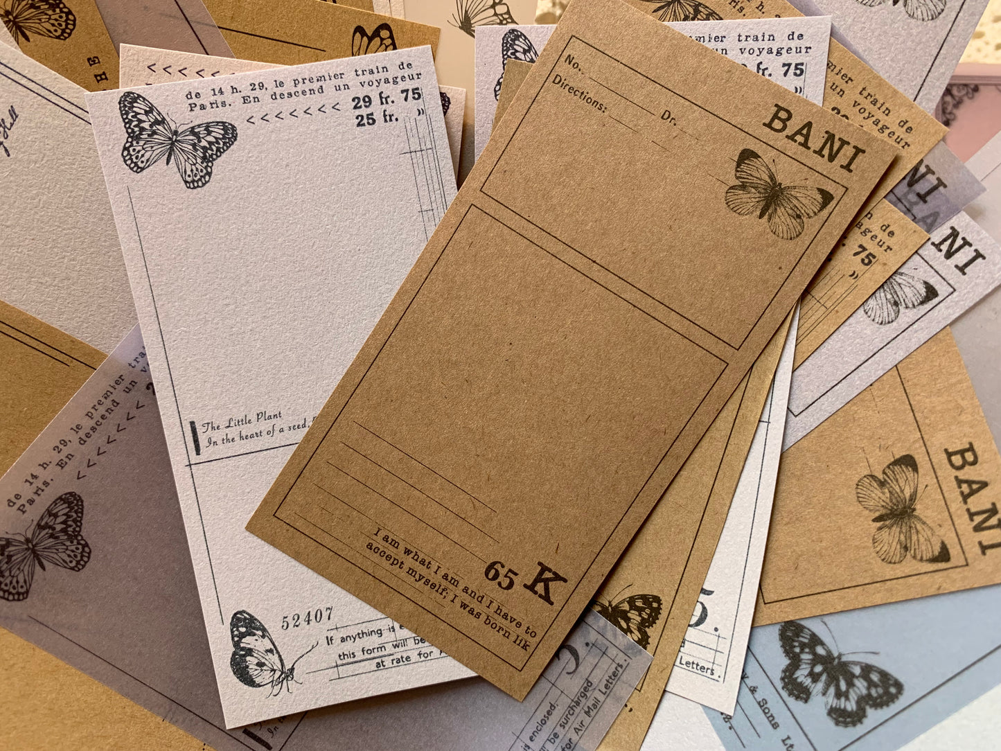 Vellum + Kraft Paper Set - Butterfly