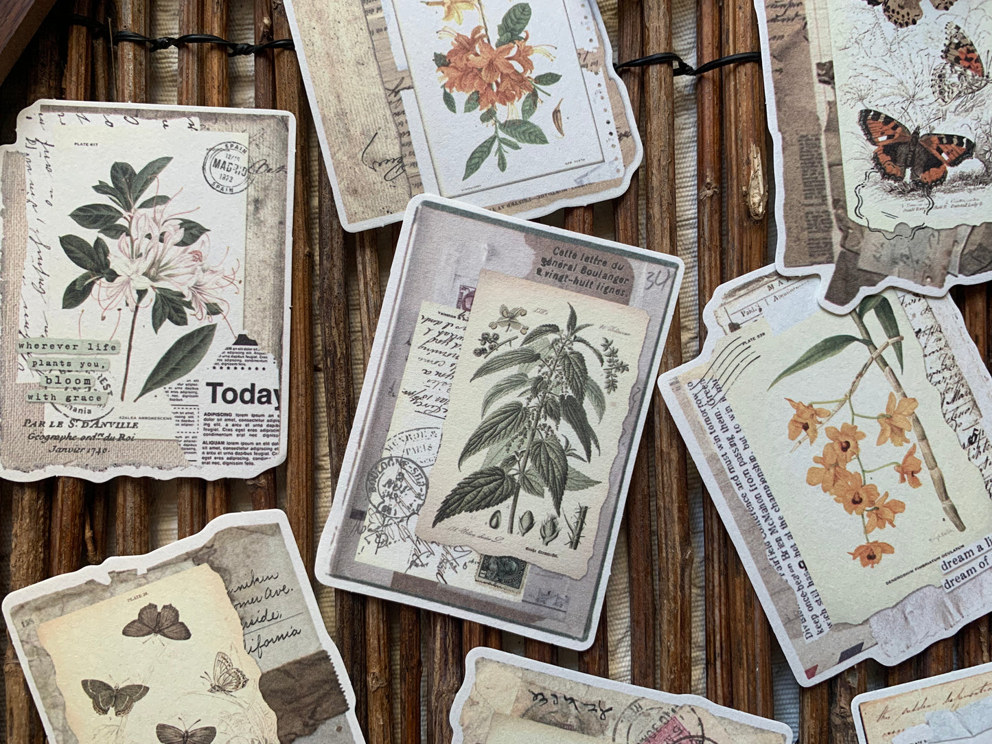 Botanical Themed Paper Set