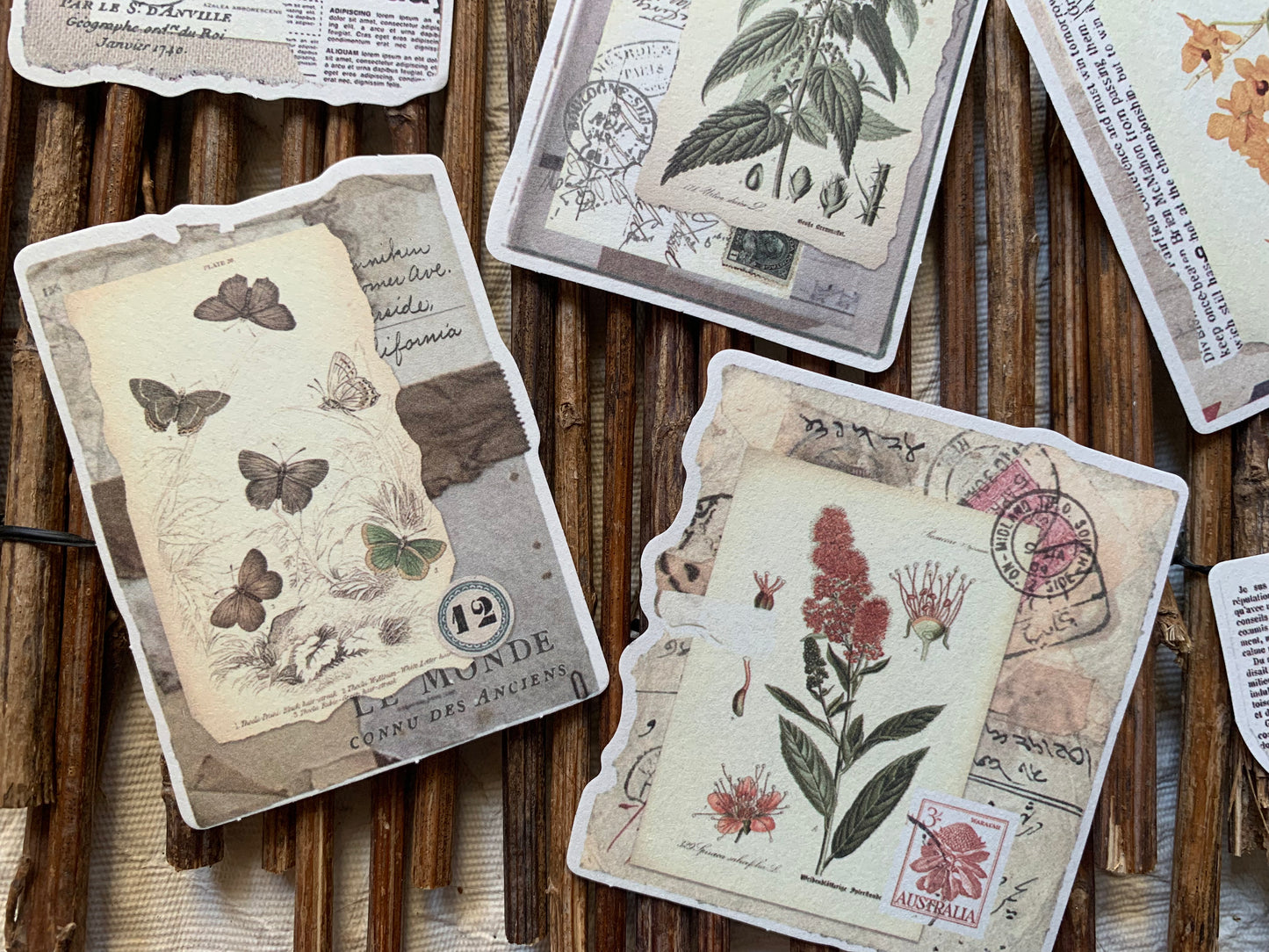 Botanical Themed Paper Set