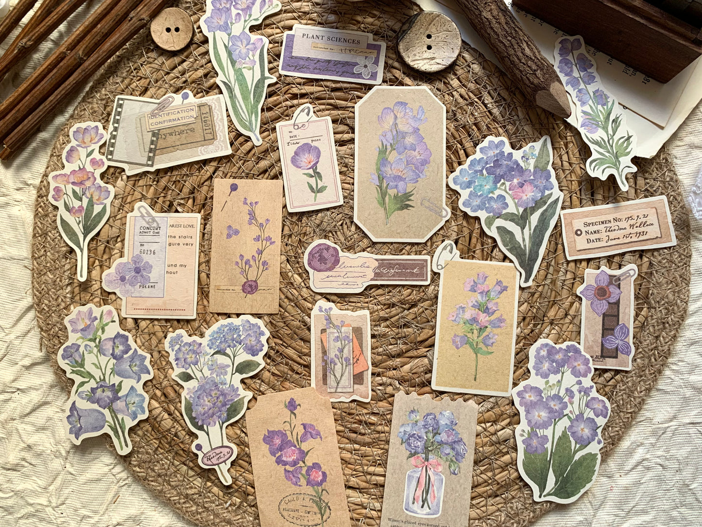 Mystery Garden Set - Purple