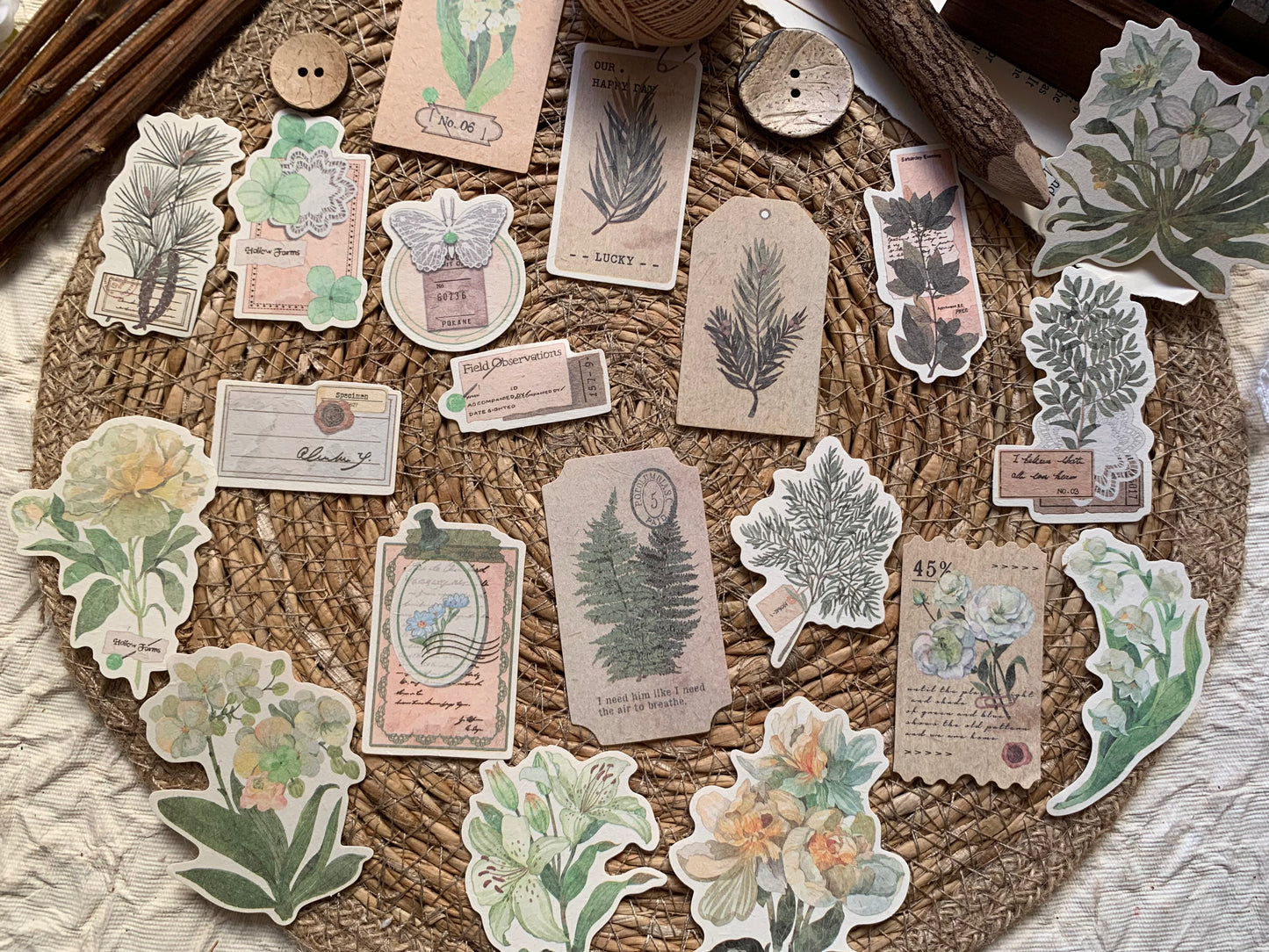 Mystery Garden Set - Green