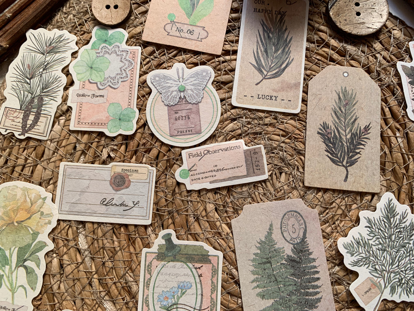 Mystery Garden Set - Green