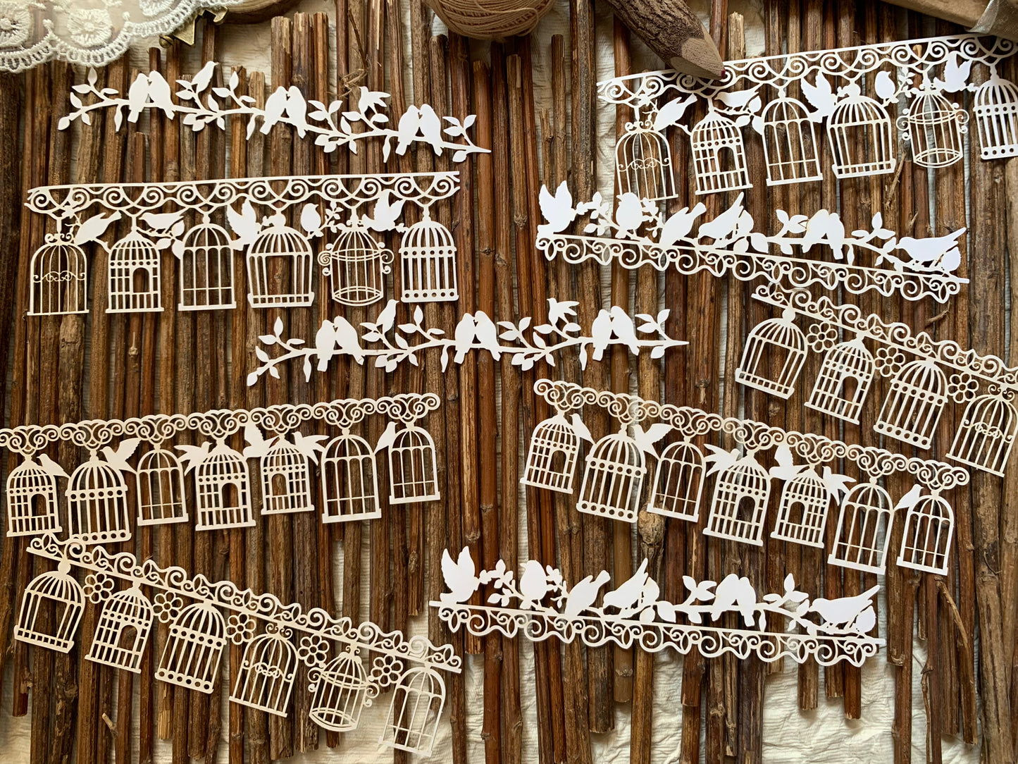 Lace Paper Doilies - Cage