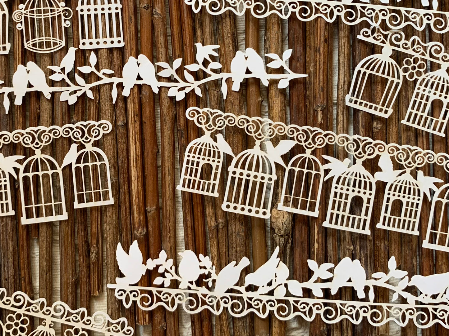 Lace Paper Doilies - Cage