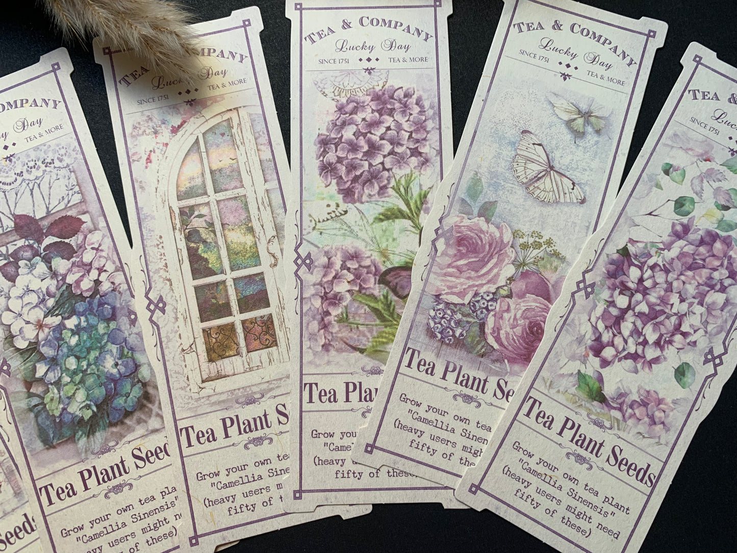 Long Aesthetic Cards - Purple