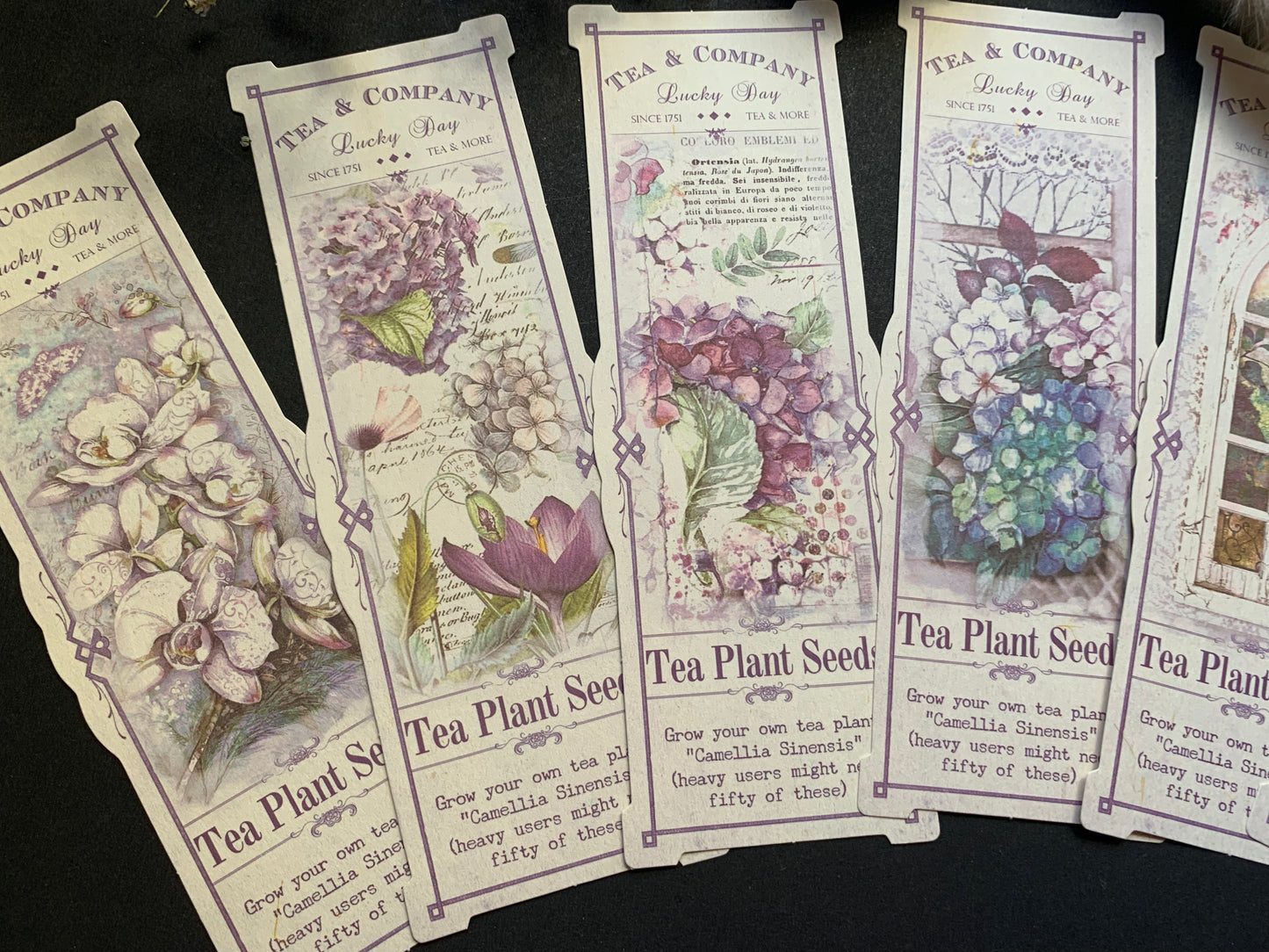 Long Aesthetic Cards - Purple
