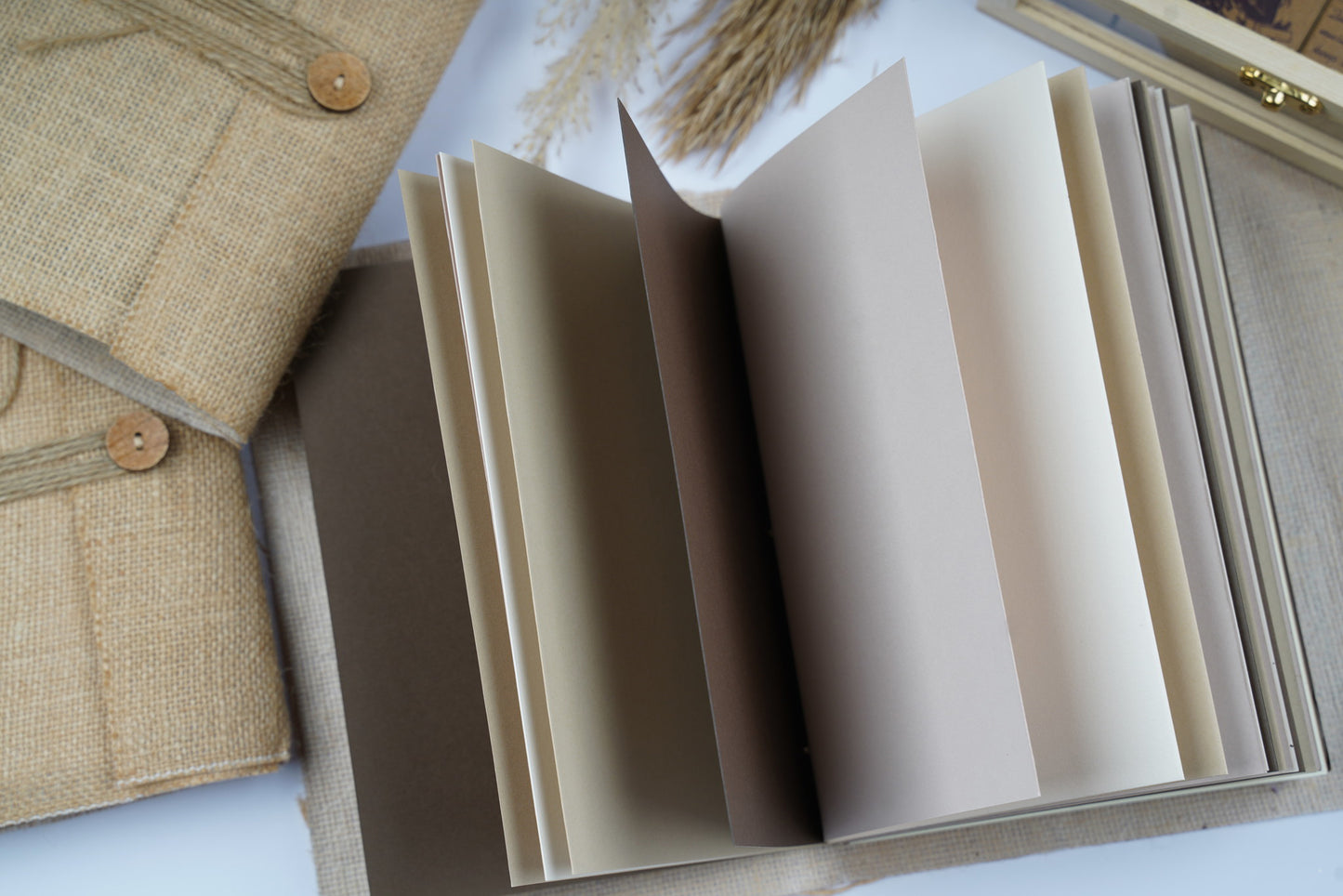 Aesthetic Journals