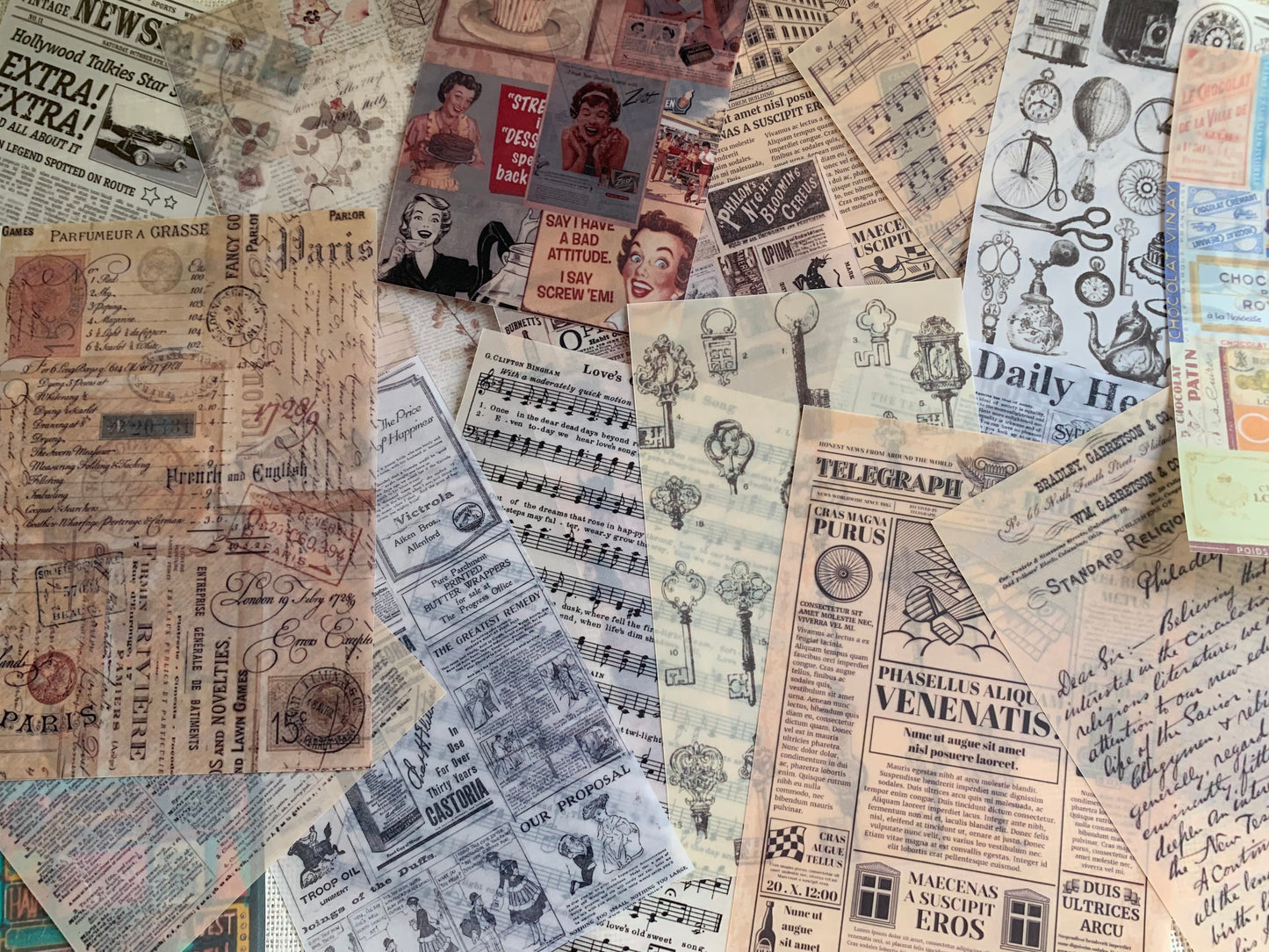 Vintage Vellum Set