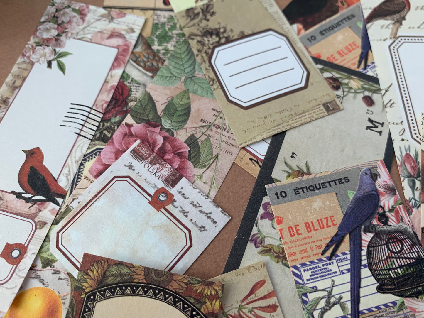 Botanical Note Paper Set