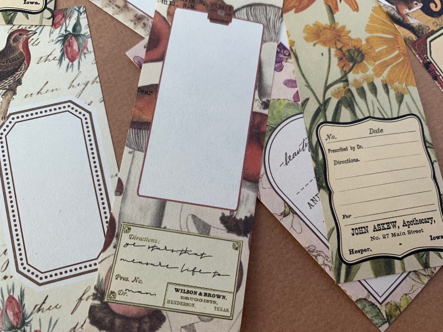 Botanical Note Paper Set