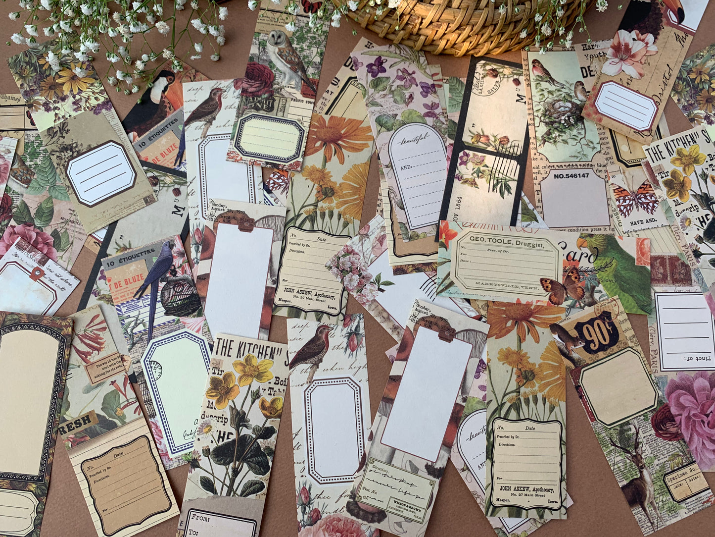 Botanical Note Paper Set