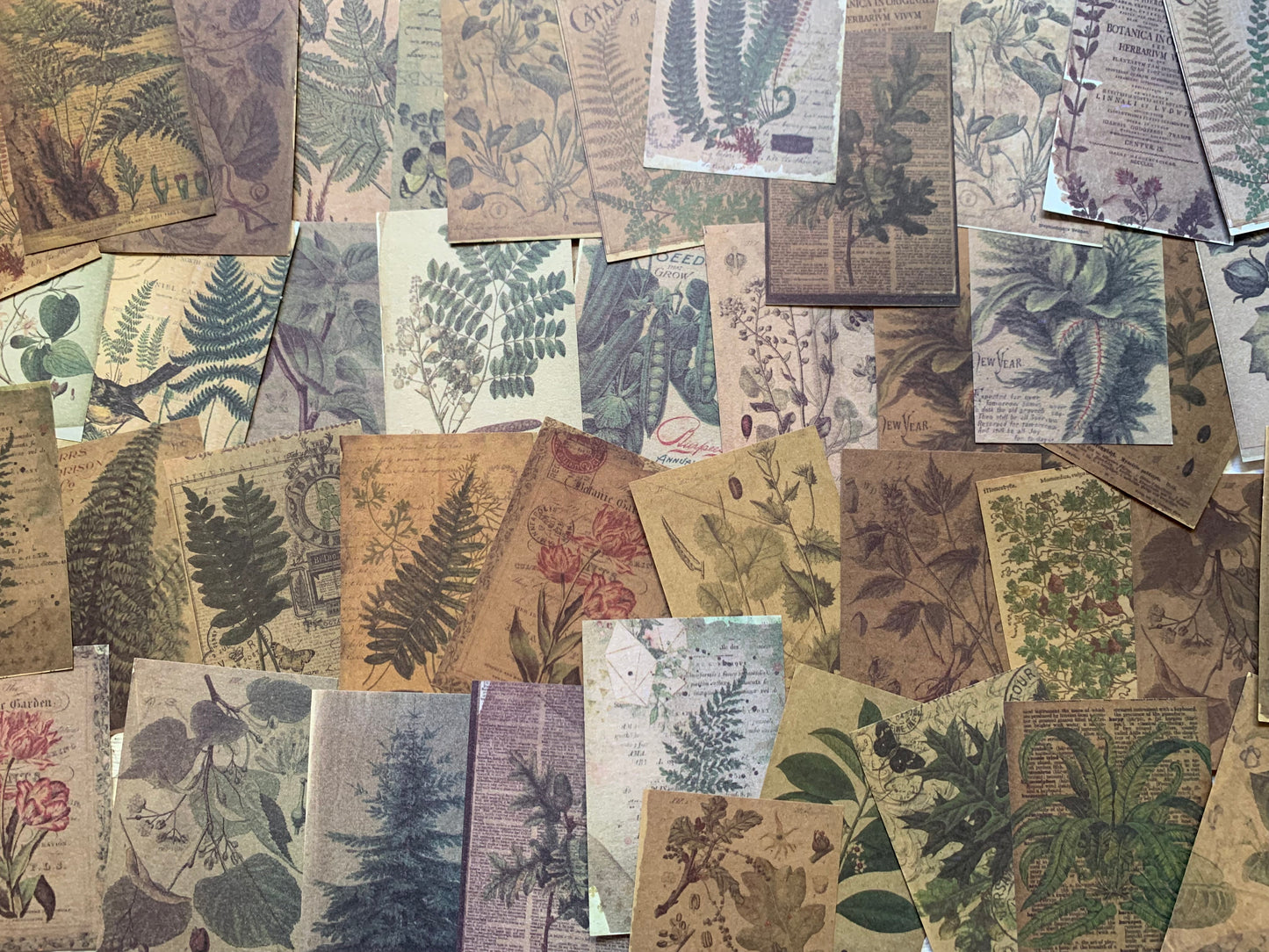 Set of 100 papers - Leaves