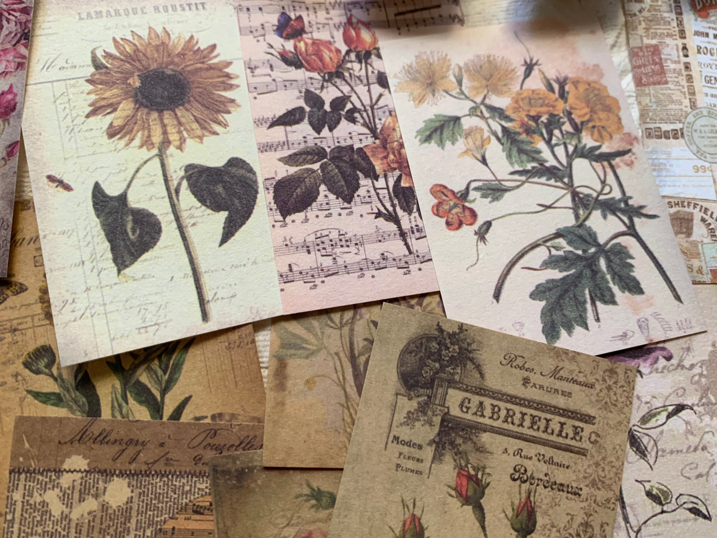 Set of 100 papers - Botanical