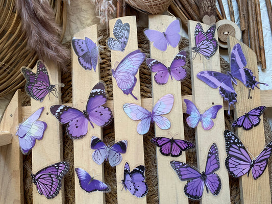 Butterfly Sticker Set - Purple