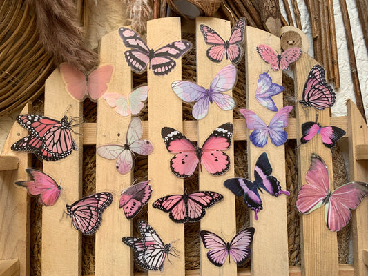 Butterfly Sticker Set - Pink