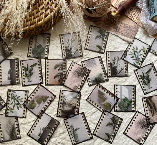 Leafy Film Sticker Set - 1