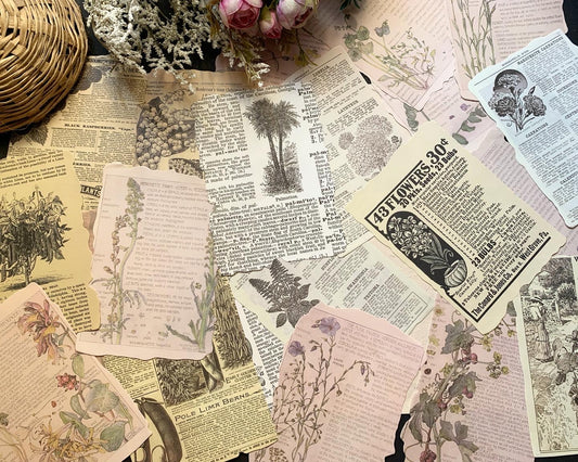 Vintage Botanical Paper Set