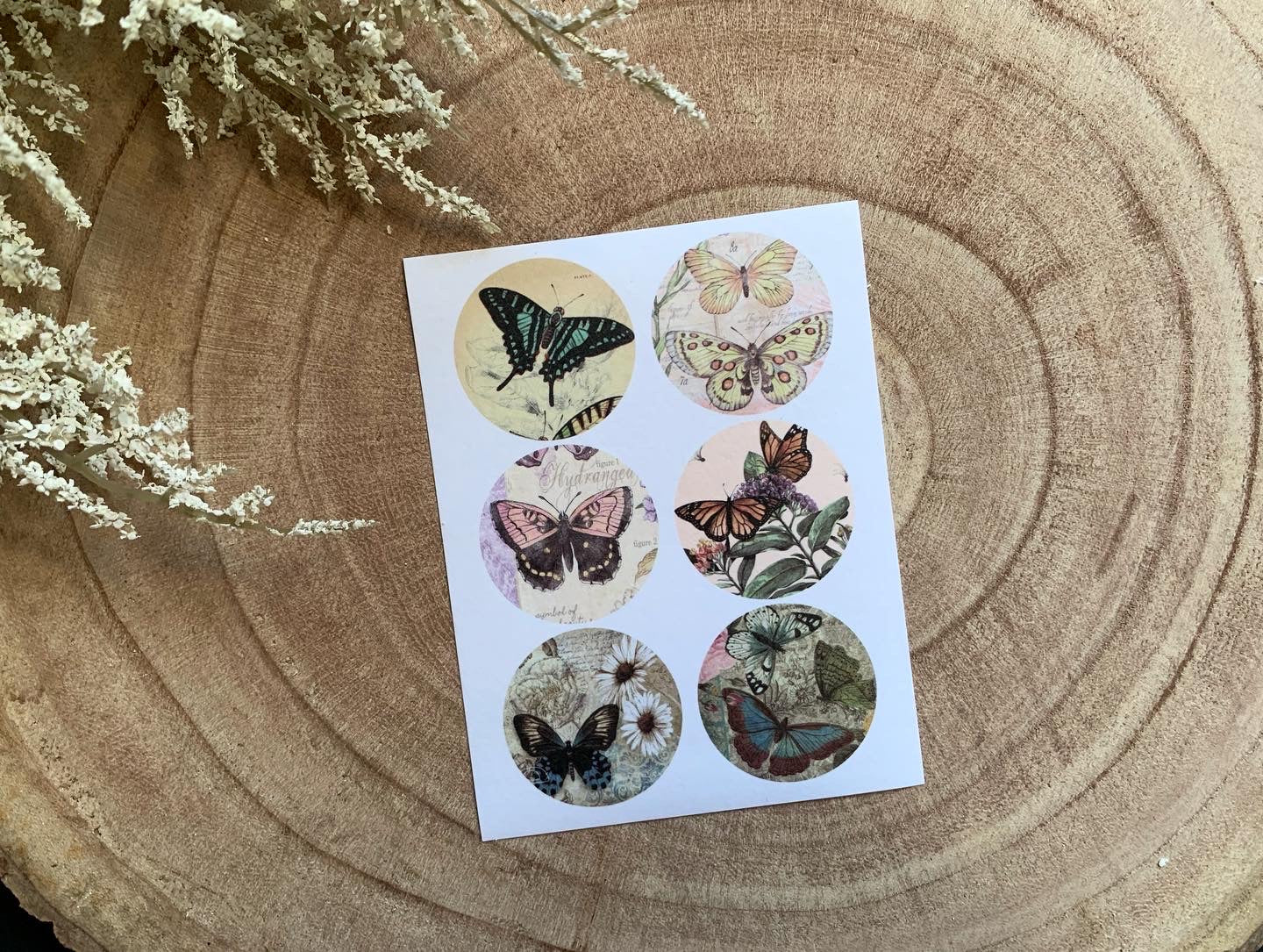 Butterfly Sticker Set