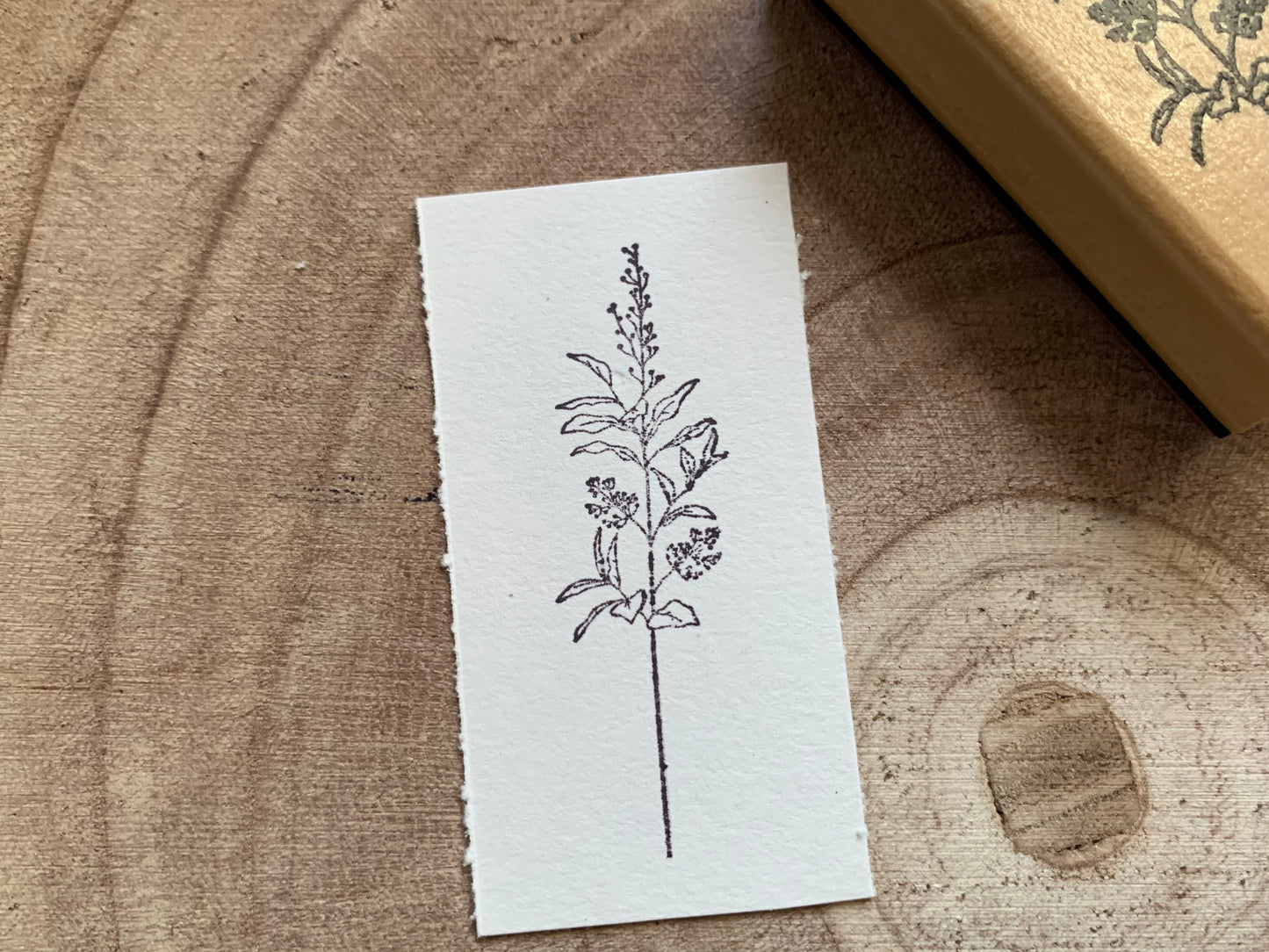 Wooden Stamp - Botanical 2