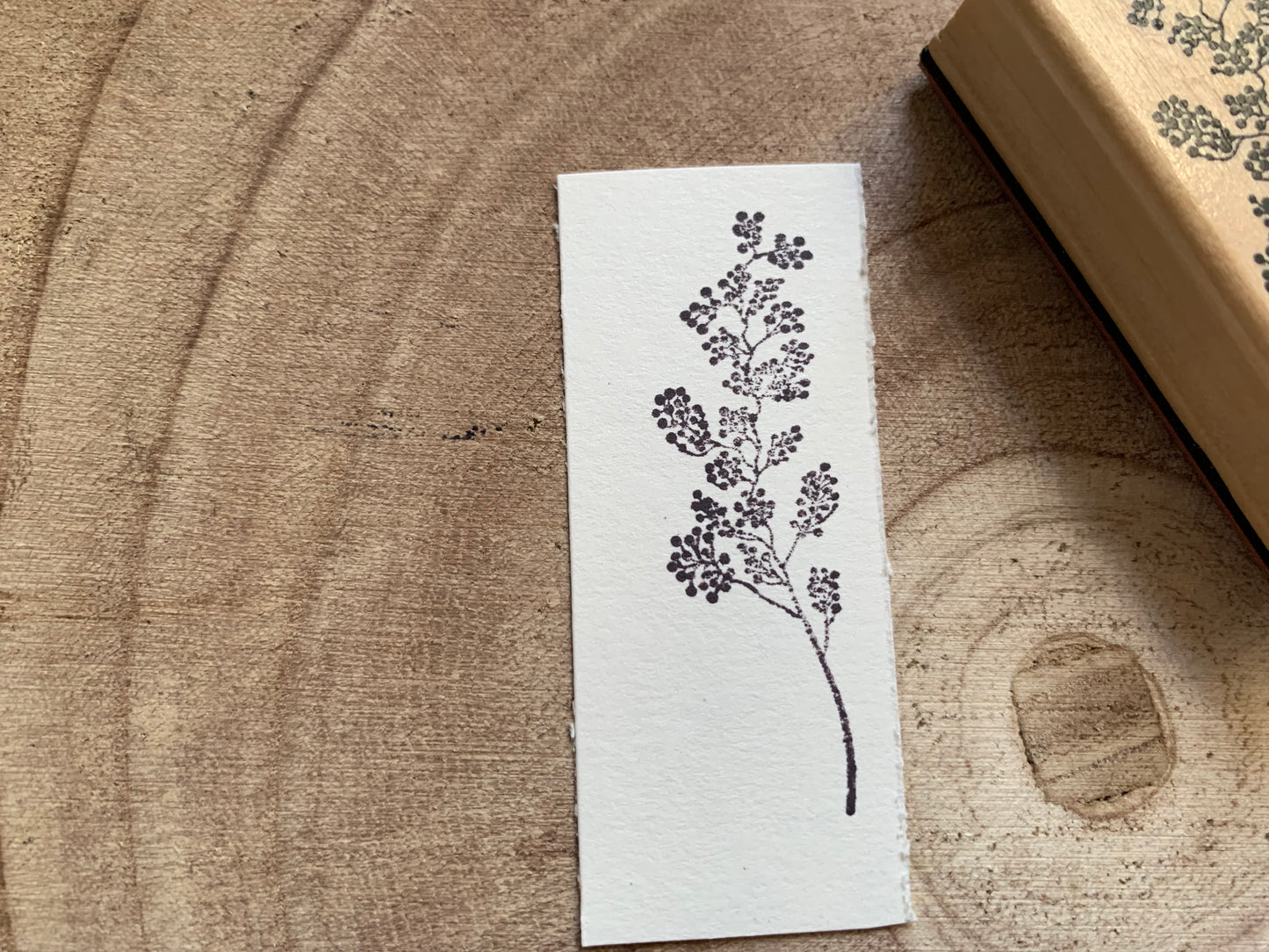 Wooden Stamp - Botanical 5