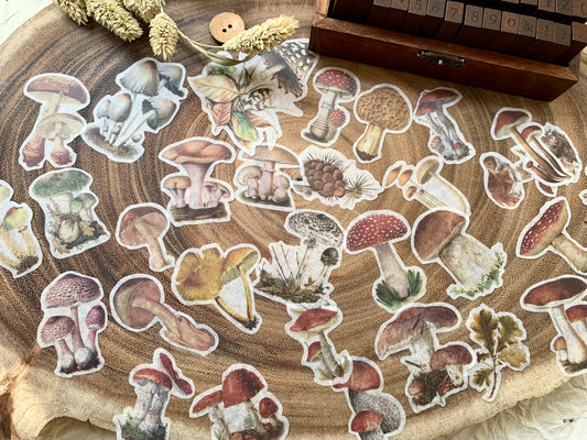 Mushroom Sticker Set